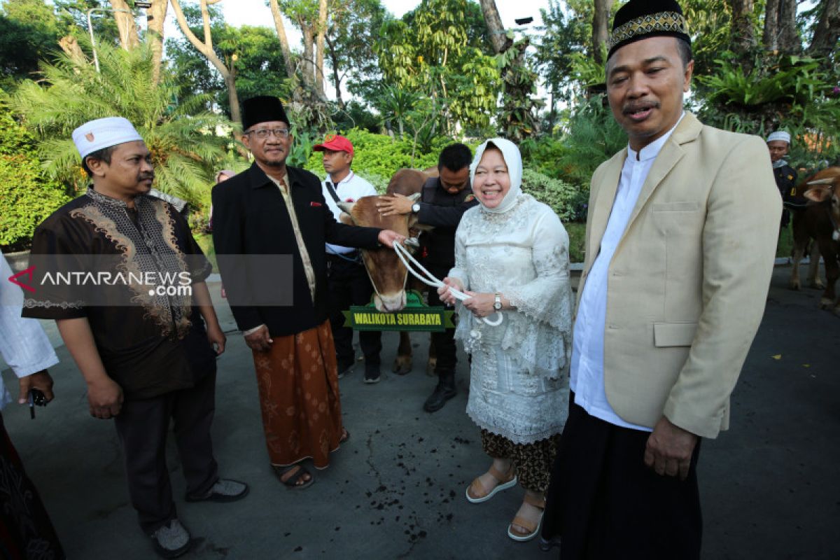 Pemkot Surabaya serahkan hewan kurban 16 sapi dan 44 kambing