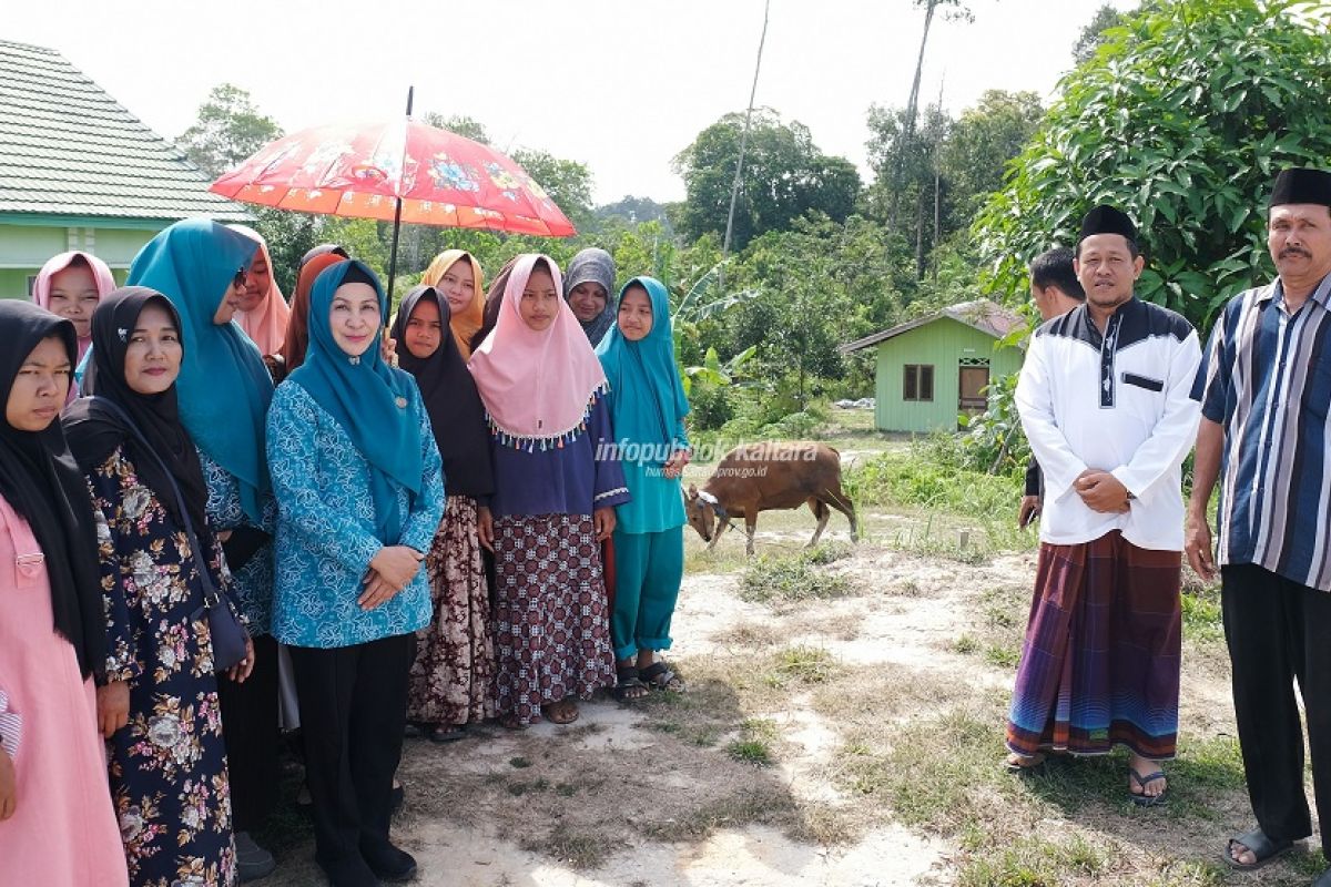 PKK Kaltara Sumbang 1 Sapi Kurban