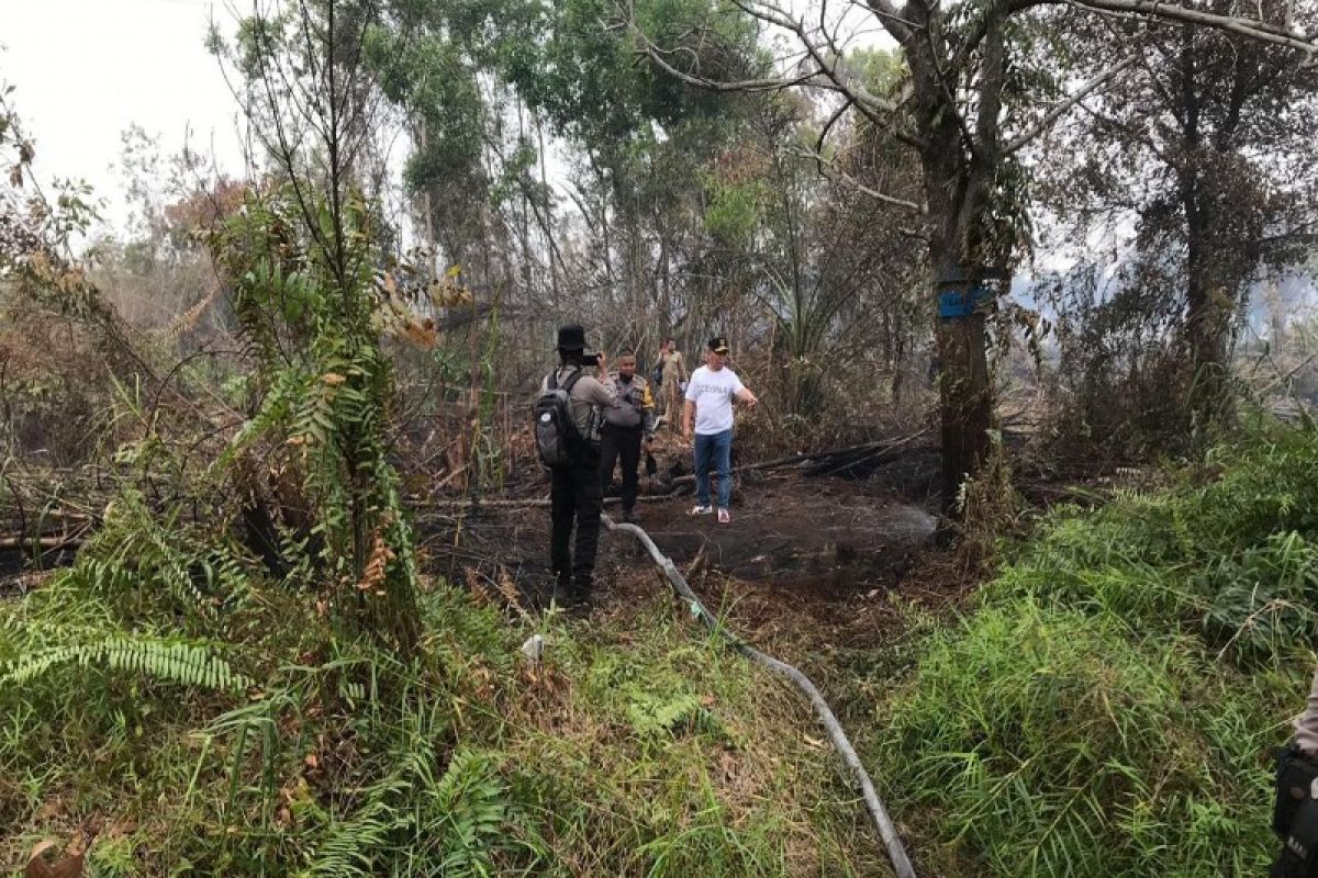 Pembakaran lahan di Palangka Raya diduga terorganisasi