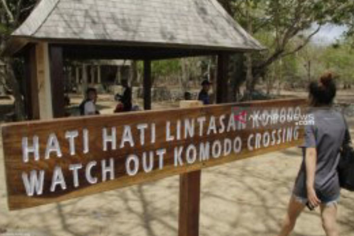 Pulau Komodo sudah di konservasi