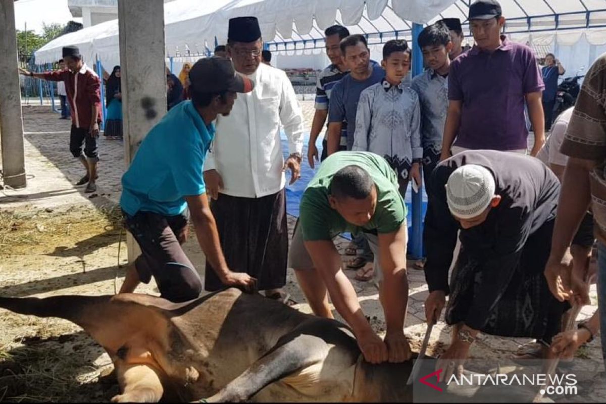 Pegawai Pemko Banda Aceh kurban 100 ekor