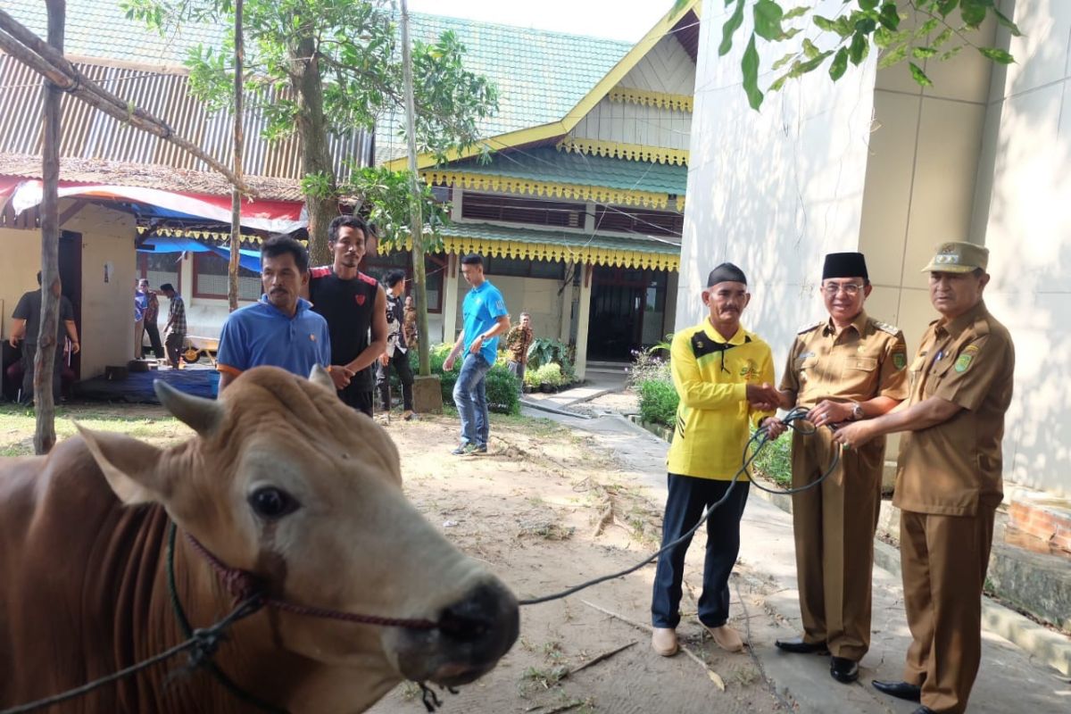 Idul Adha 1440 H, Bupati tunaikam ibadah kurban di lingkungan Setda Inhil