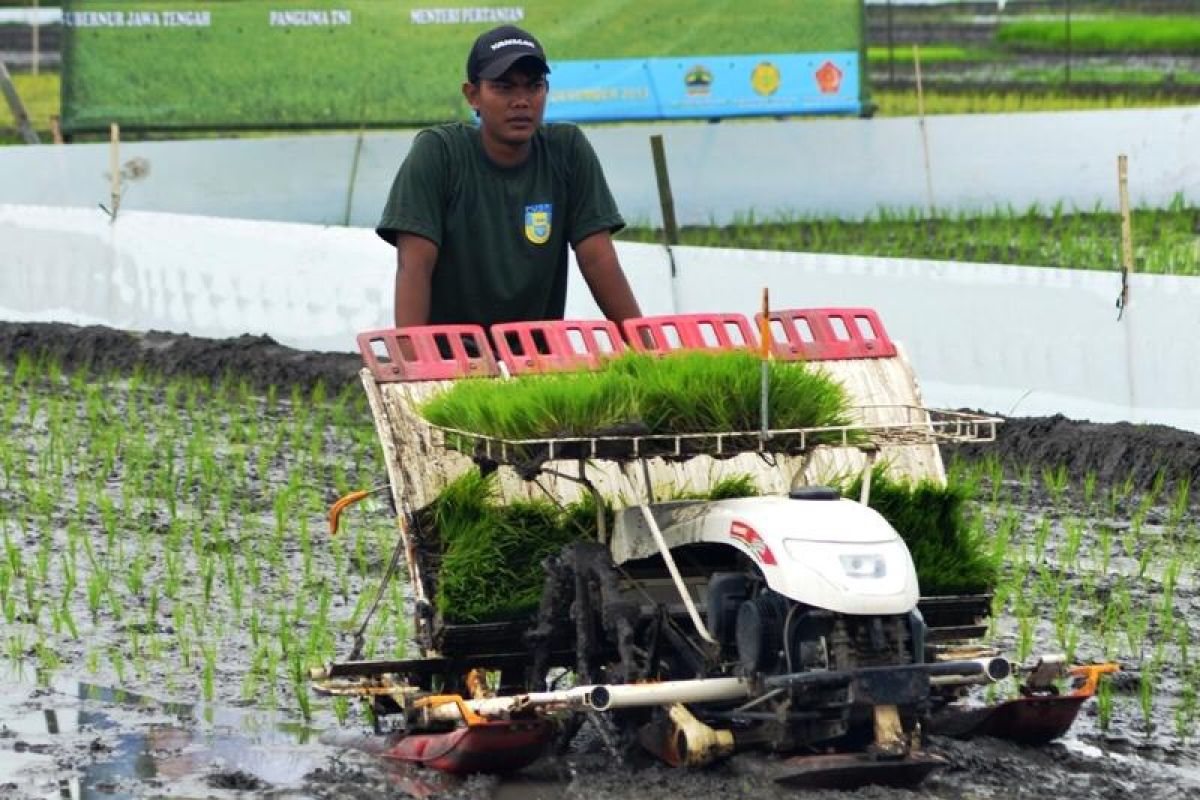 Program Mentan dinilai Bappenas pacu pertumbuhan ekonomi daerah