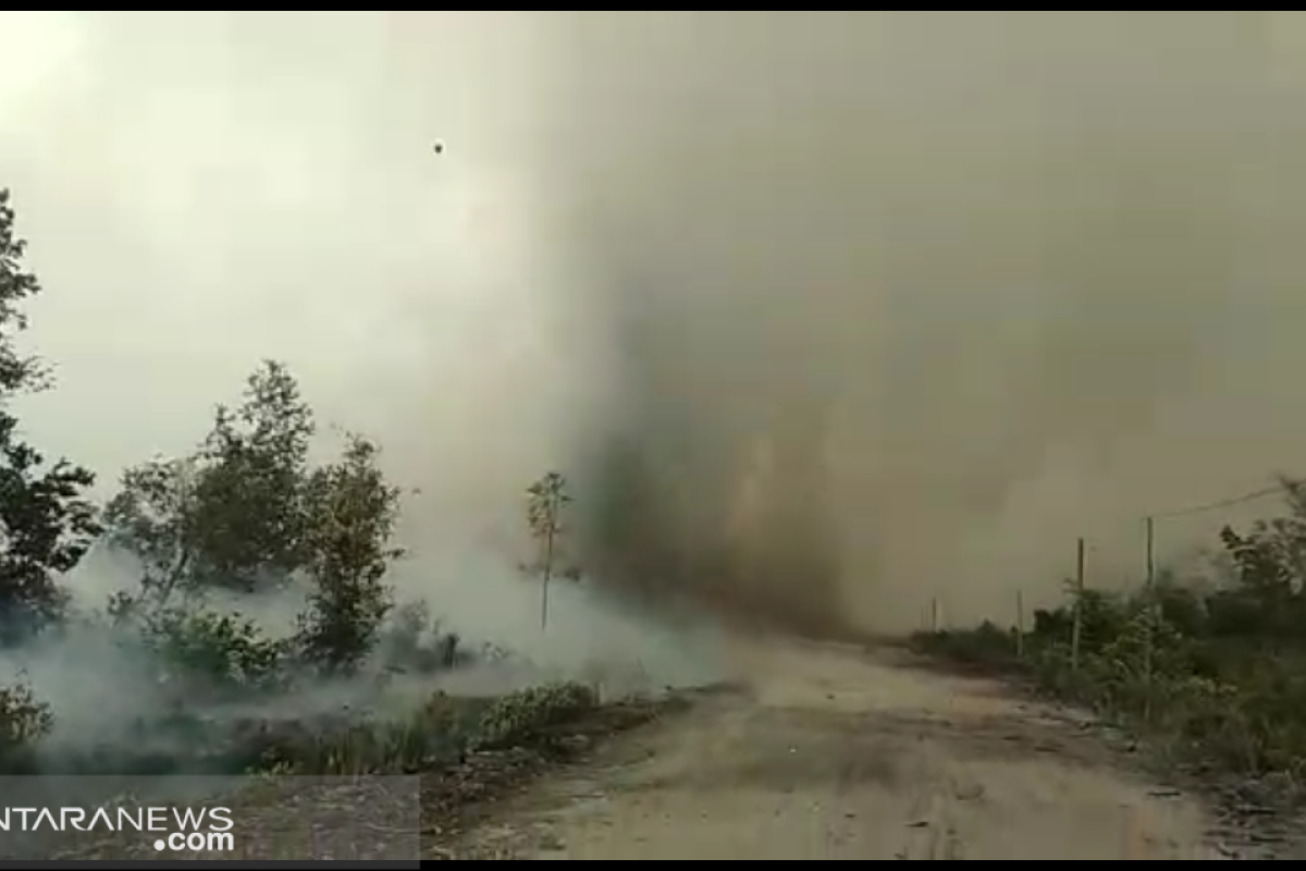 Asap kebakaran hutan dikhawatirkan ganggu aktivitas Bandara Tjilik Riwut