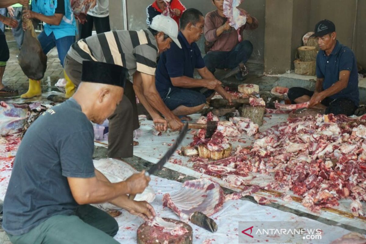 Panitia rumah sakit potong 18 hewan kurban