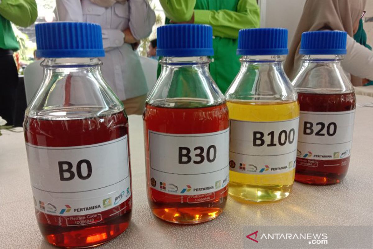 Biodiesel B30 akan diluncurkan pada Desember ini