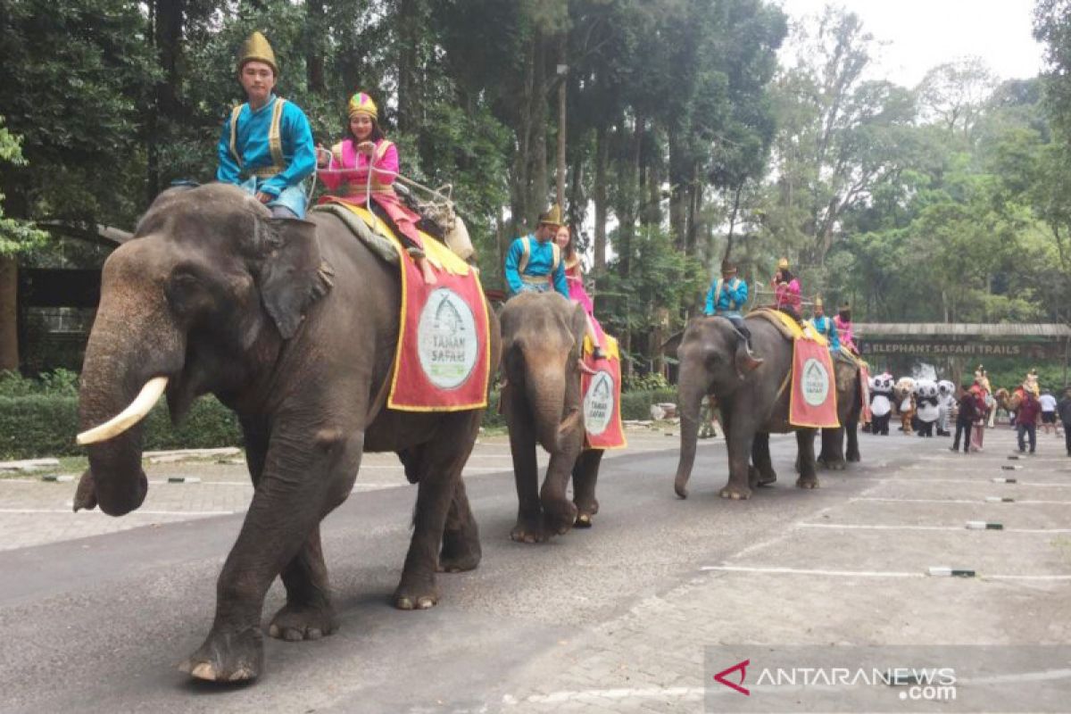 Taman Safari  gelar Parade Satwa di peringatan Hari Kemerdekaan