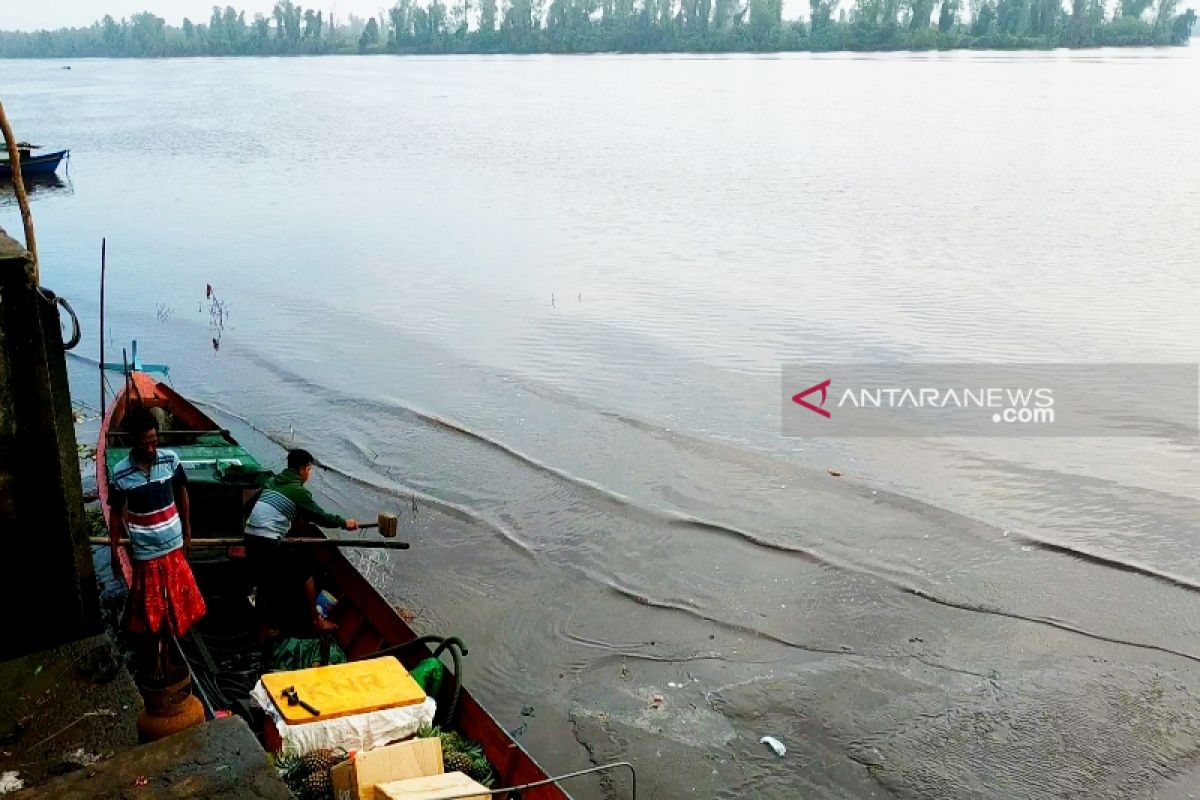 Air sungai di pesisir Kotim mulai payau