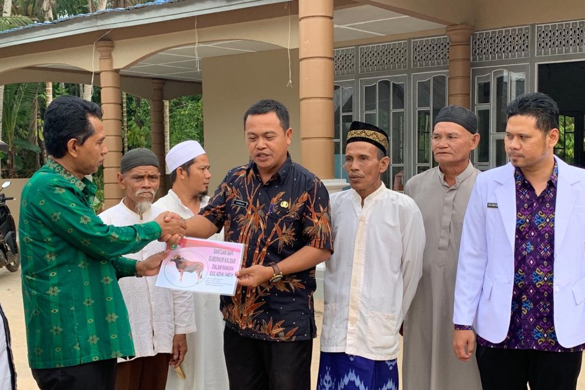 Kalbar salurkan bantuan sapi qurban dari Presiden