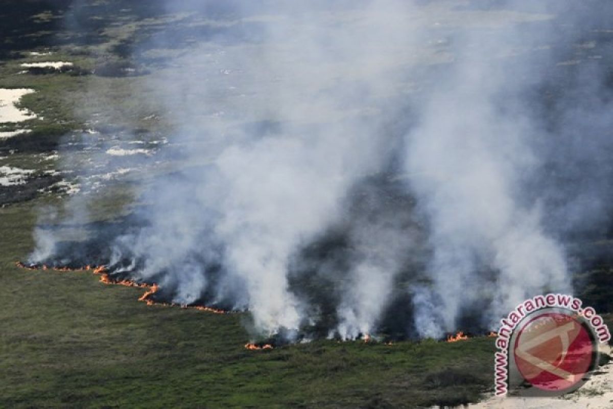 Sumsel proyeksi lahan bekas terbakar di  OKI jadi lokasi PLTS