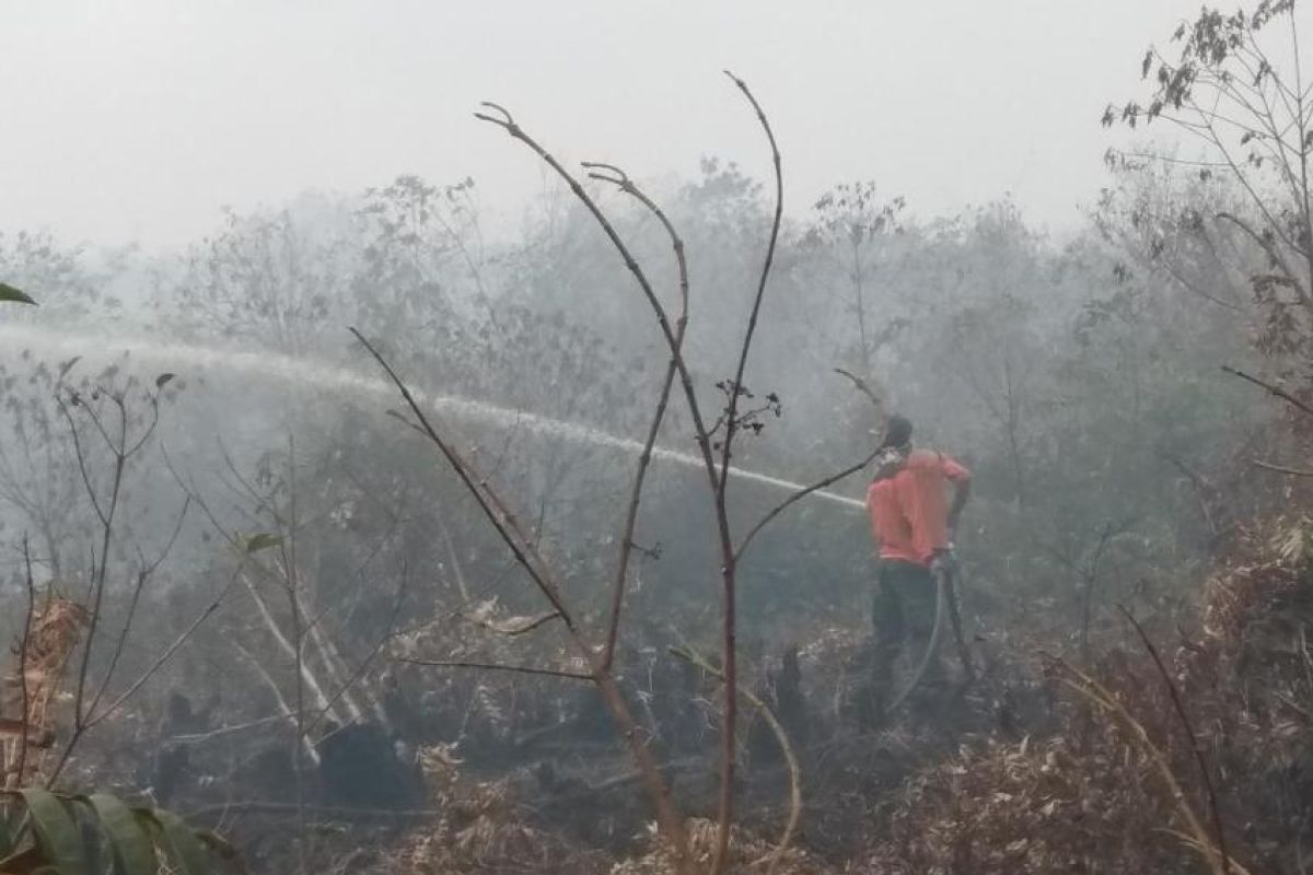 Termasuk Provinsi Jambi, pelayanan kesehatan daerah terdampak karhutla ditingkatkan