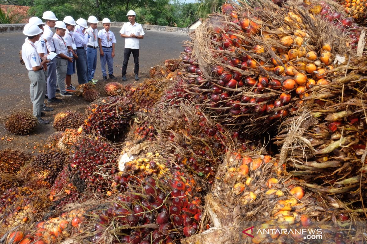 SMN kunjungi pabrik kelapa sawit PTPN IV