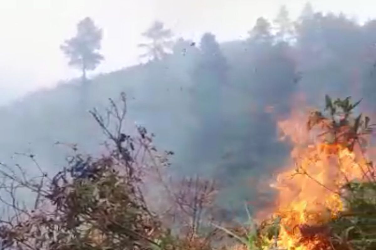 BPBD Banjarnegara imbau masyarakat waspadai kebakaran lahan