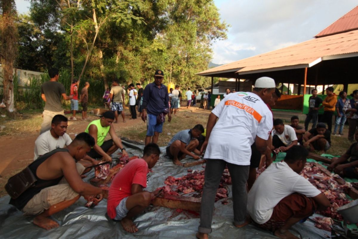 Global Qurban ACT sembelih 15 sapi bagikan ke korban gempa Lombok