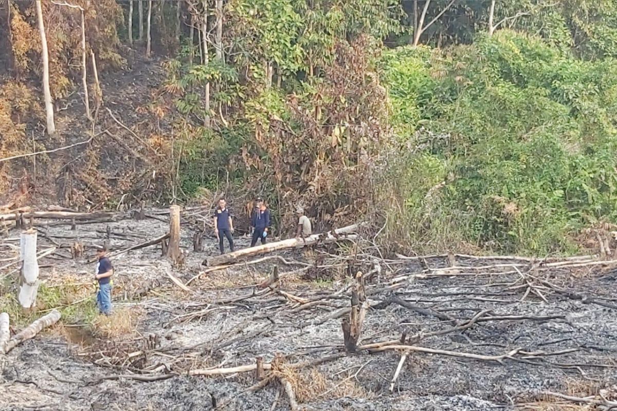 Lagi, petani ditangkap polisi Kapuas Hulu karena terkait karhutla di perbatasan