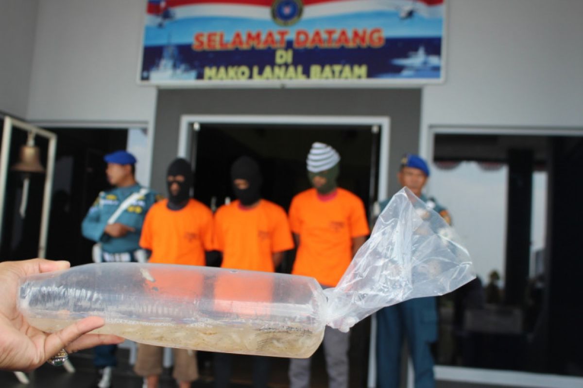 Pemerintah gagalkan penyelundupan benih lobster senilai Rp13,8 miliar