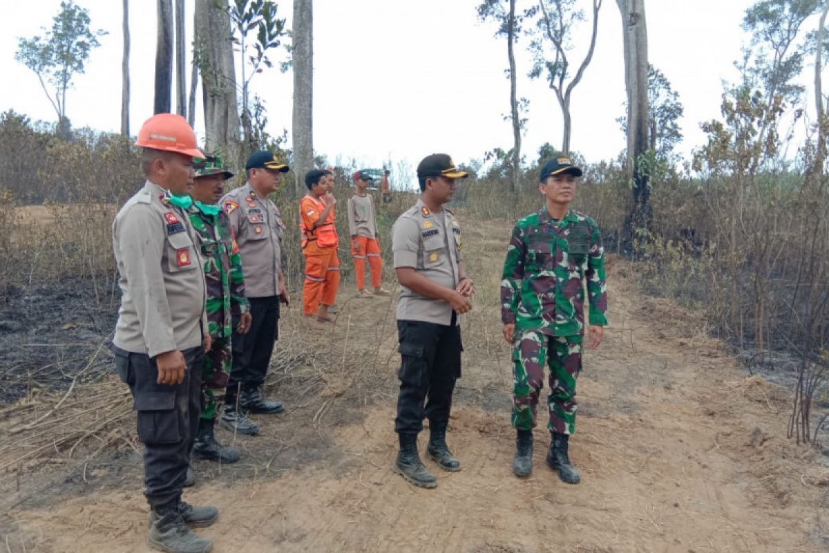 Dandim dan Kapolres tinjau lokasi kebakaran lahan