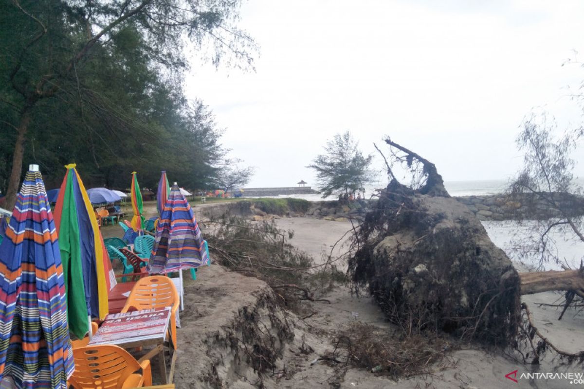 Gelombang tinggi mengikis bibir Pantai Kata di Pariaman