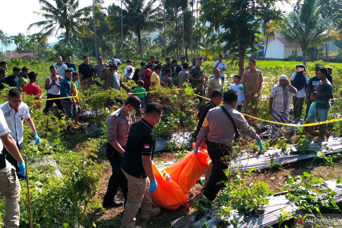 Warga Solok Selatan temukan mayat asal Jawa Timur di kebun cabai, ditutupi kain dan mulut berbusa