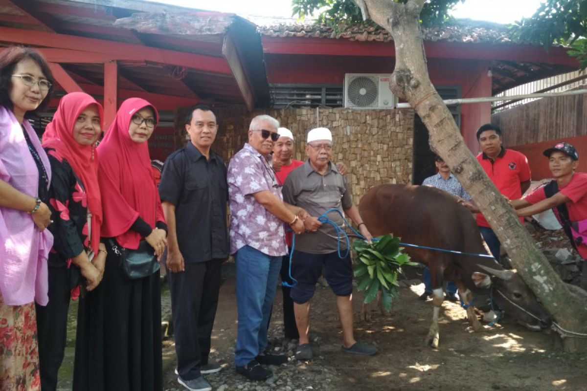 Pengurus PDIP membagikan daging hewan kurban ke warga Mataram