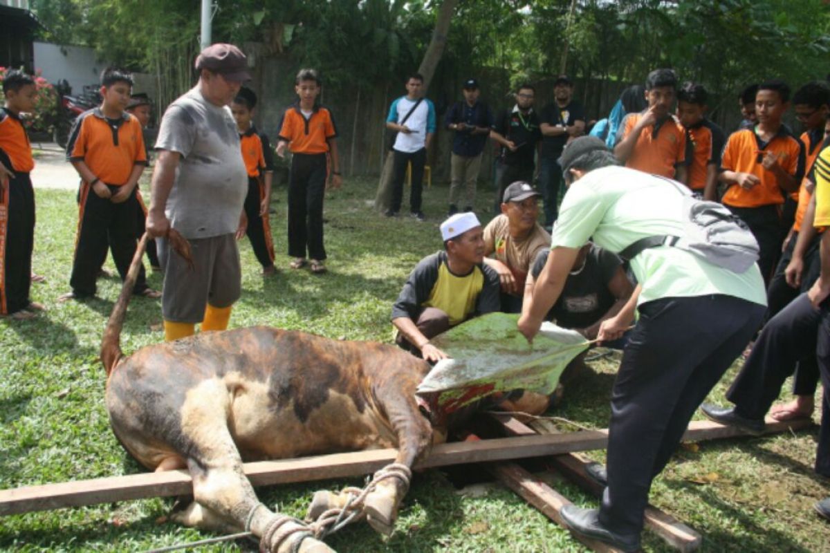 BNI Syariah dan JES Medan sembelih 2 ekor sapi