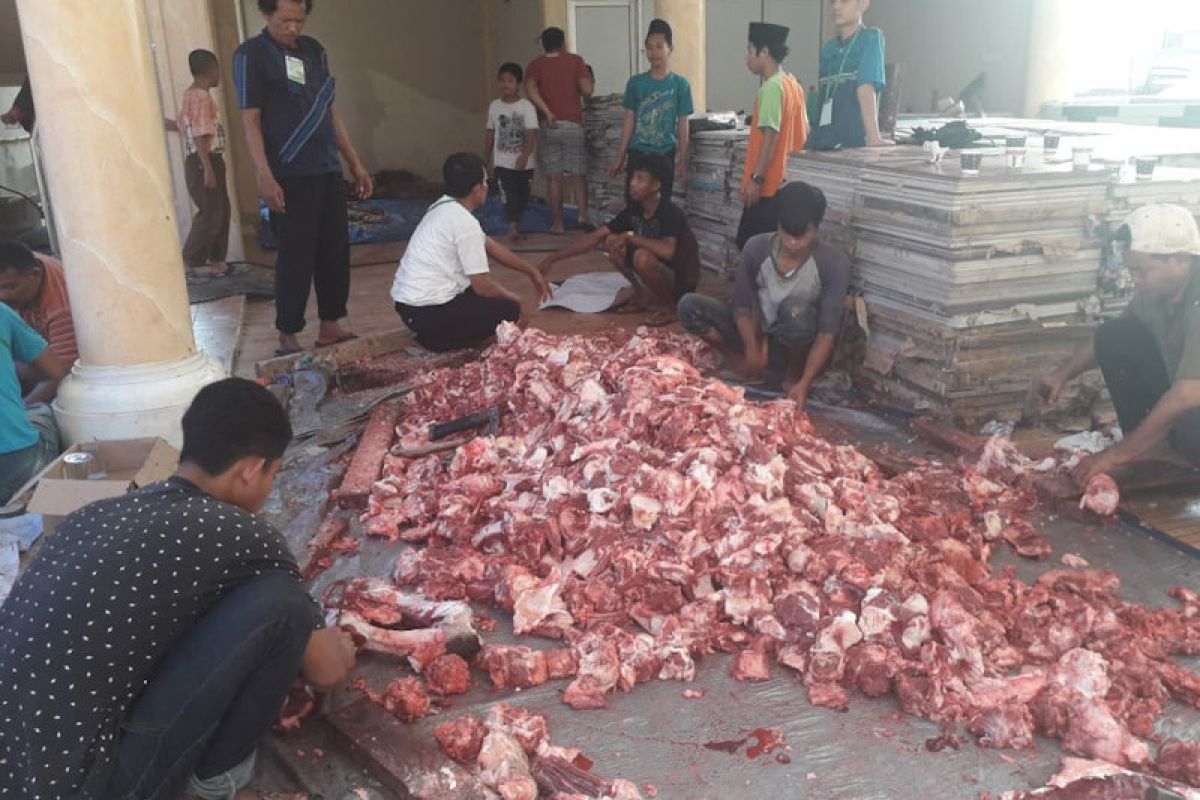 Ponpes Riyadus Sholihin bagikan 1.700 daging kurban