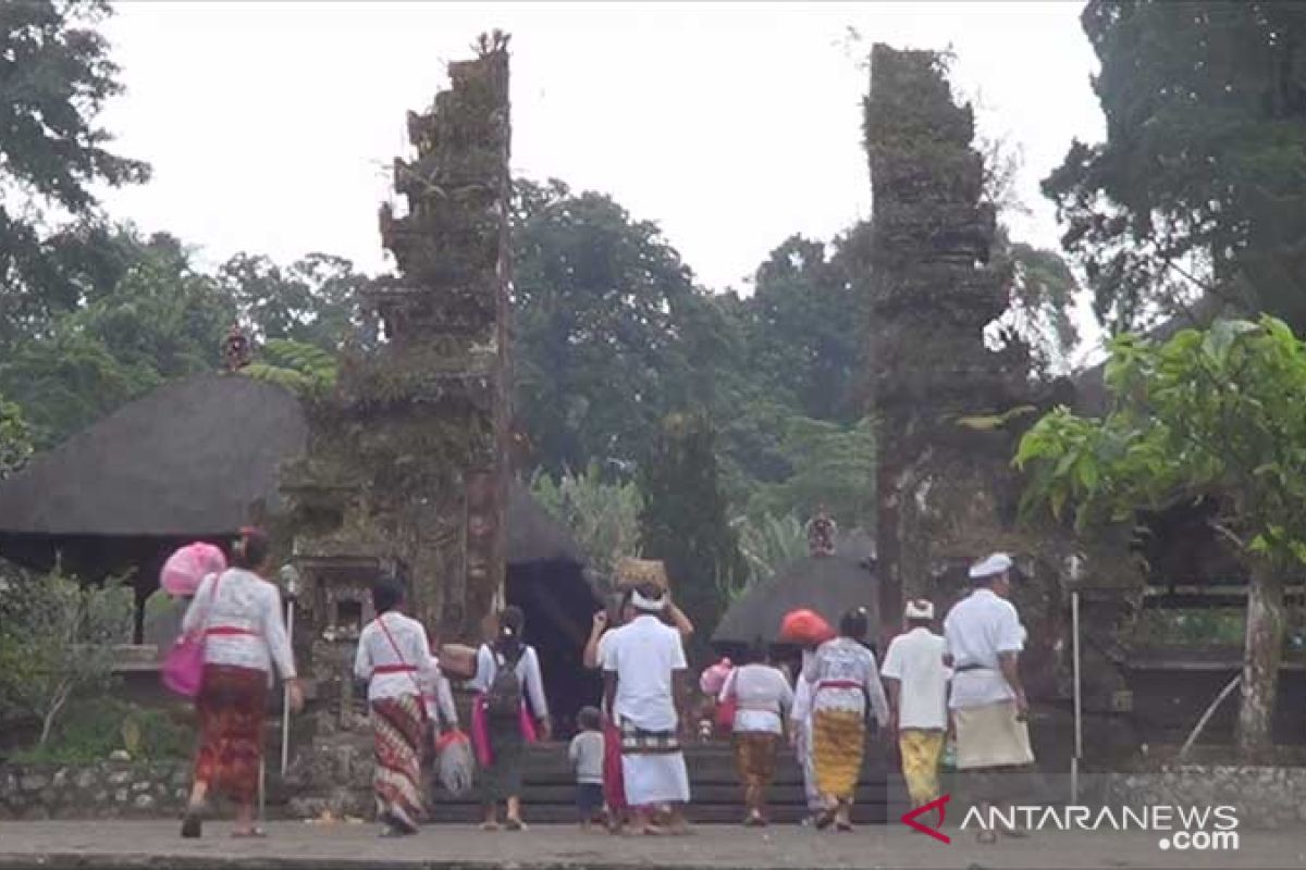 BPBD Tabanan: sudah padam, kebakaran di  puncak Gunung Batukaru (video)