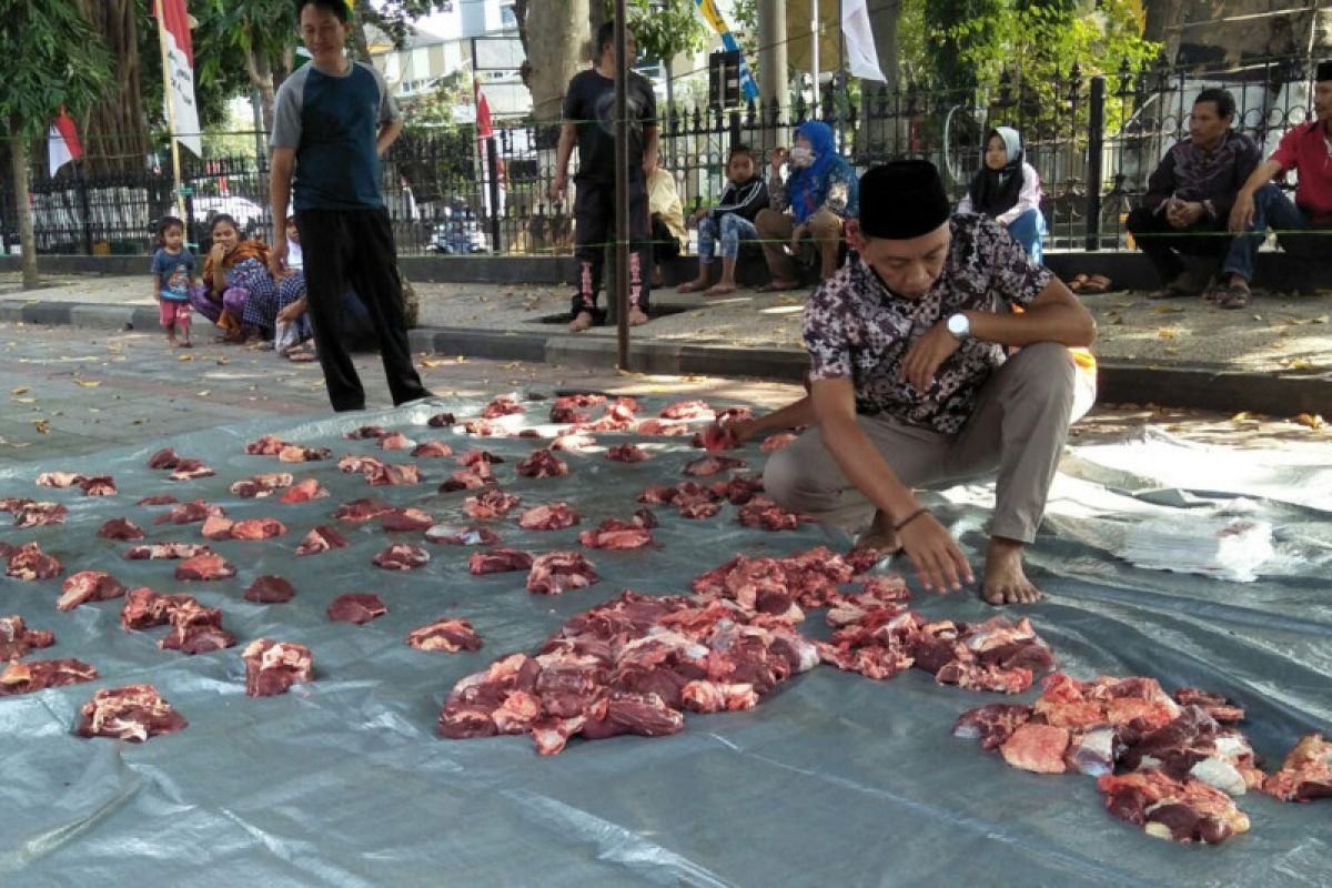 Kasus cacing hati hewan kurban Mataram meningkat