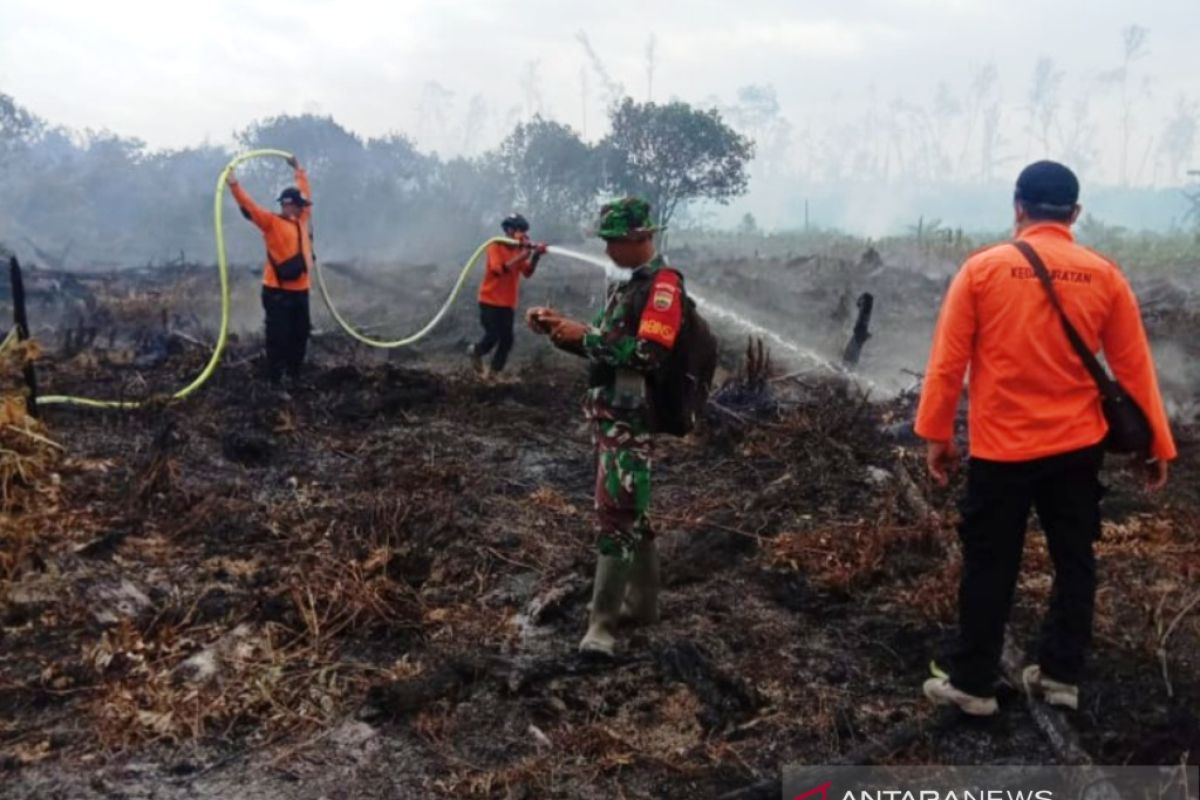 Tim Terus Pantau Kebakaran Hutan Pesisir Selatan