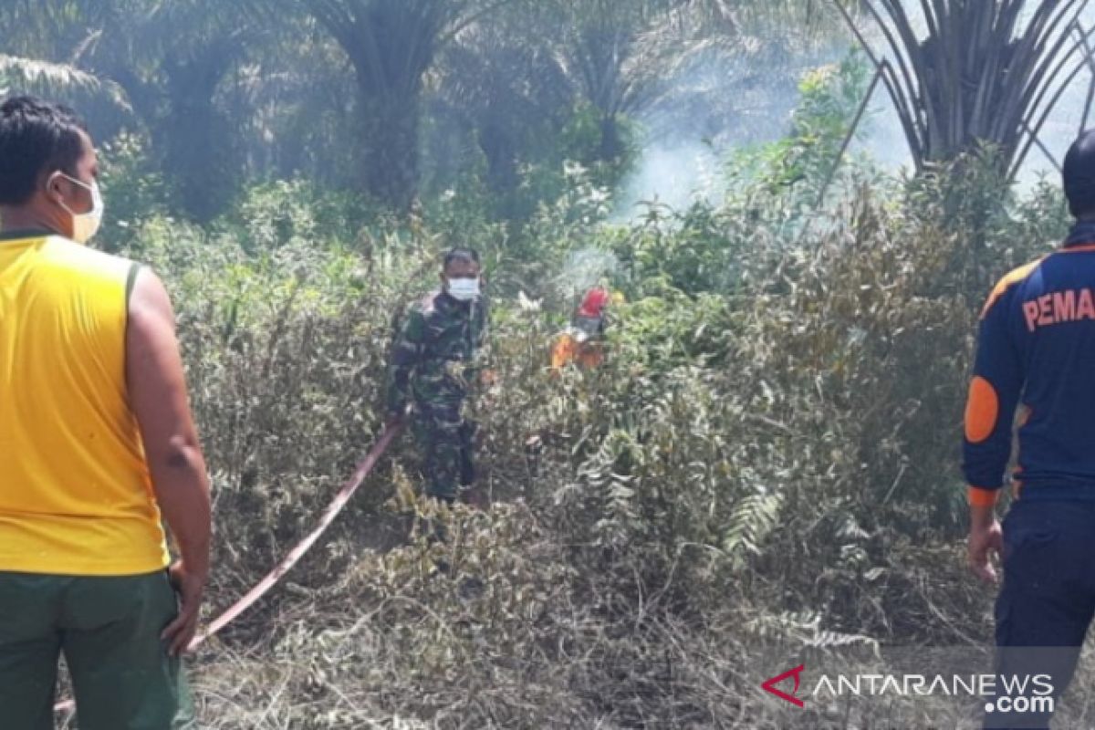Korem 045 - Polsek Namang berhasil padamkan kebakaran hutan