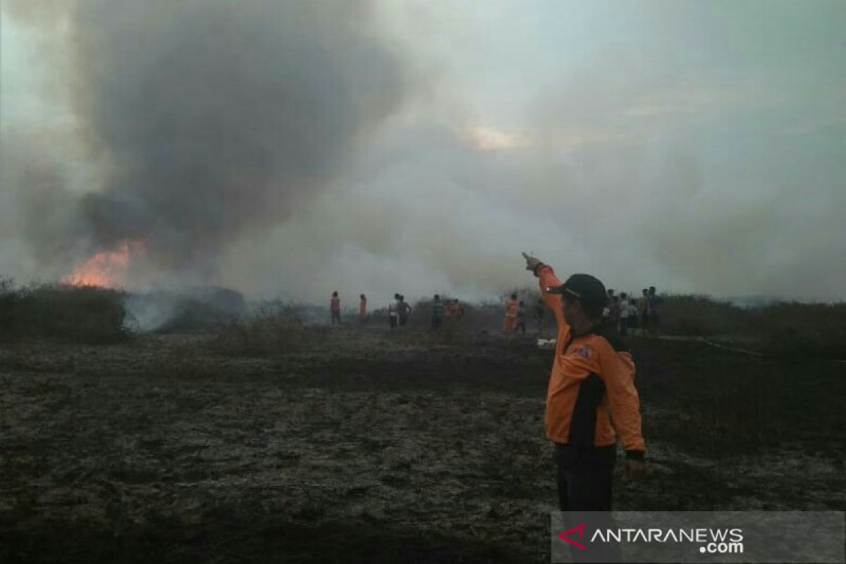 Kebakaran lahan di Tapus dan Paminggir