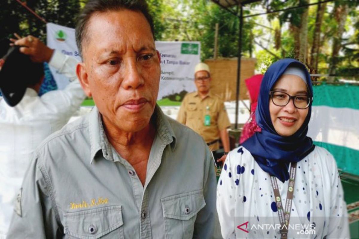 Warga Kapuas bertani di lahan gambut tanpa melakukan pembakaran