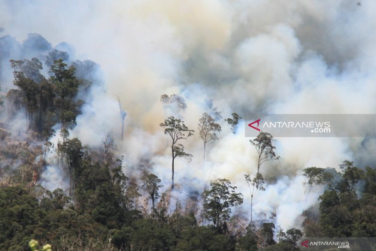 Dua heli dikerahkan padamkan karhutla  di Bayunglincir