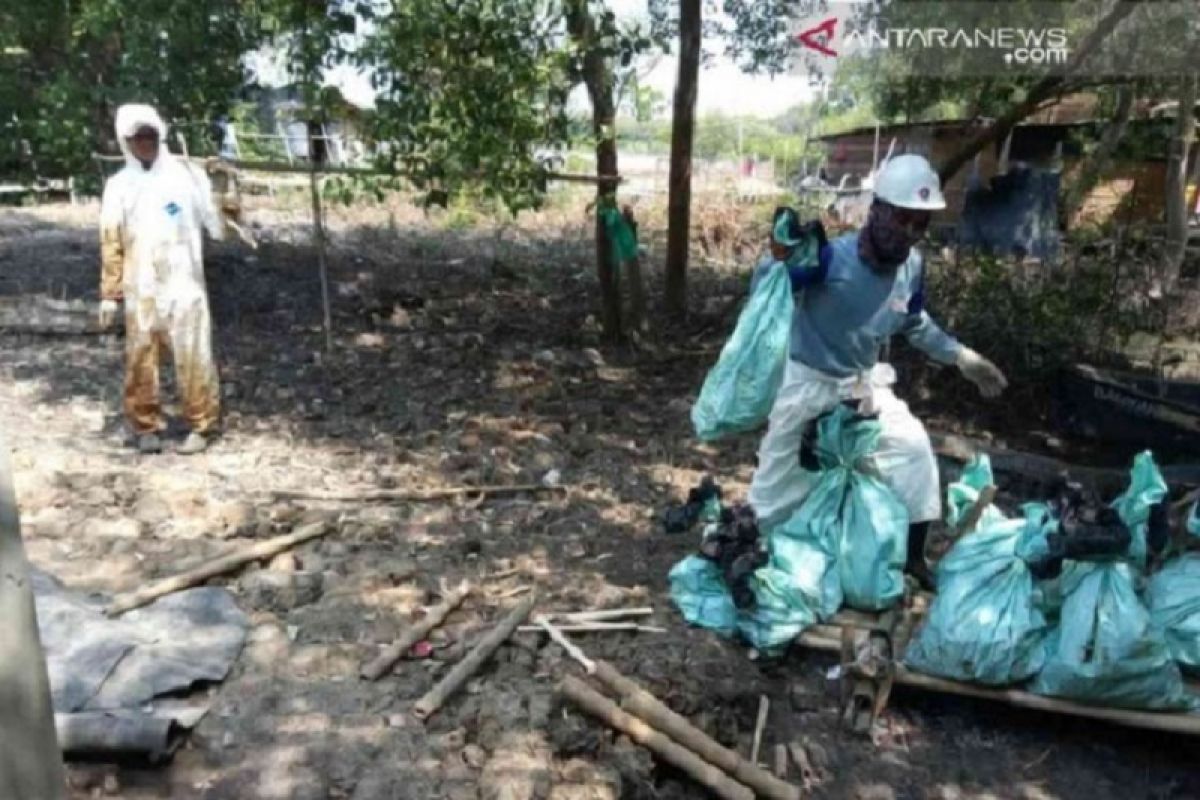 Para nelayan Karawang dapat "untung" dari tumpahan minyak Pertamina