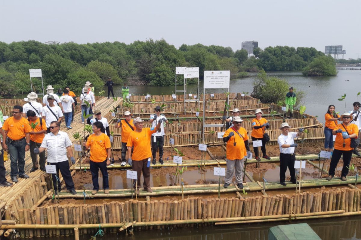 BKSDA DKI Jakarta dan YKAN gelar mangrove volunteers di Muara Angke