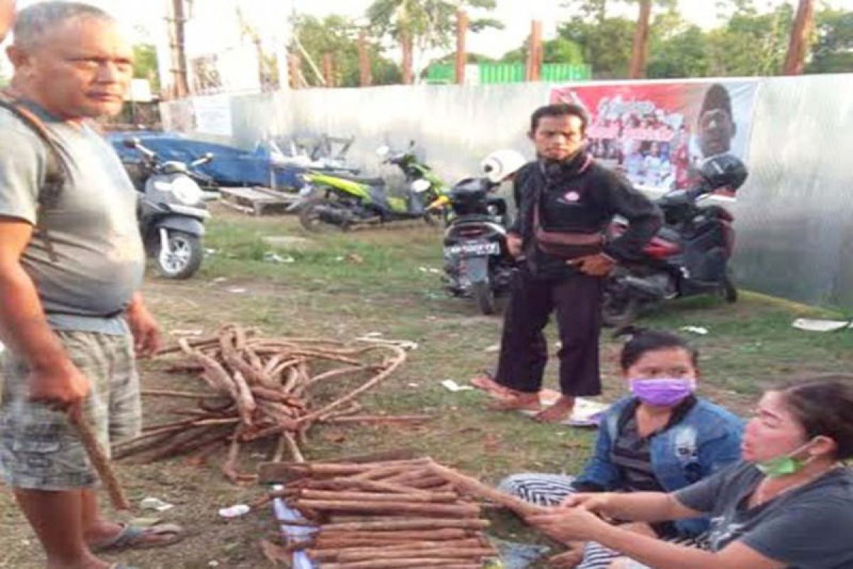 Berharap sembuhkan kanker, masyarakat Kalteng berburu akar bajakah