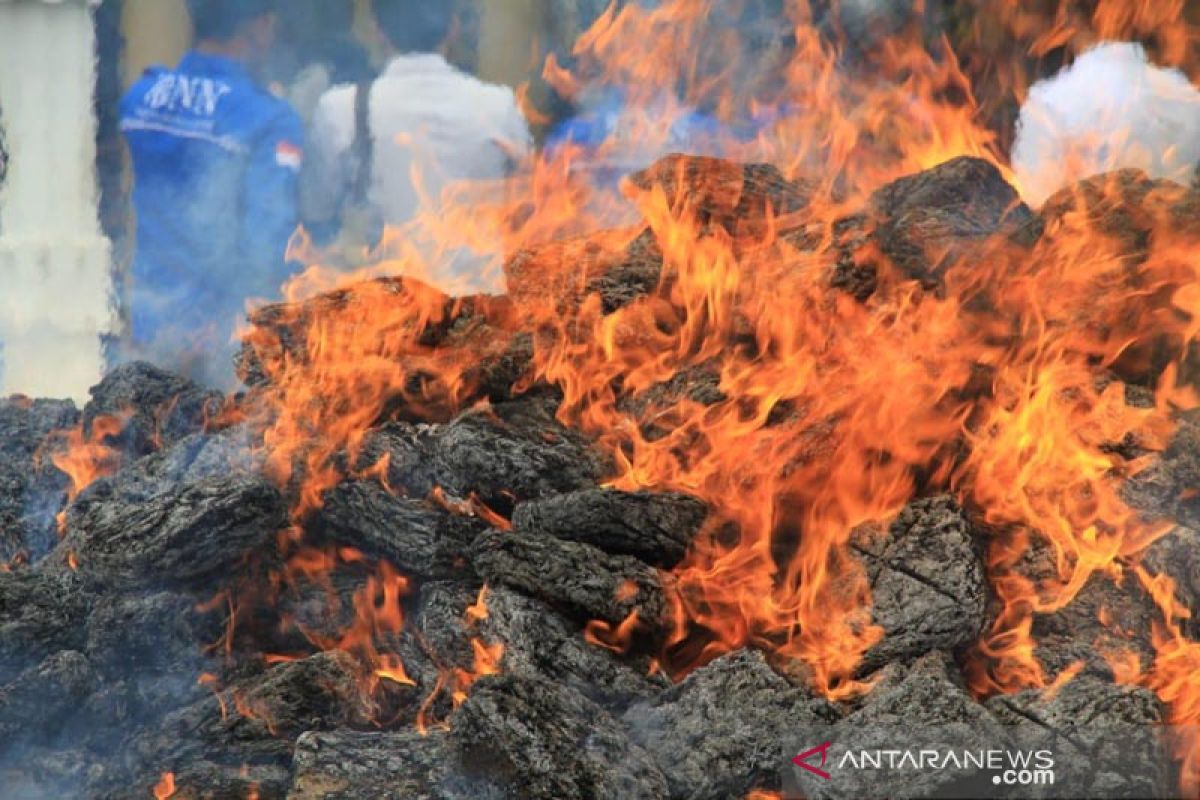 Polresta Banda Aceh musnahkan 1,1 ton ganja