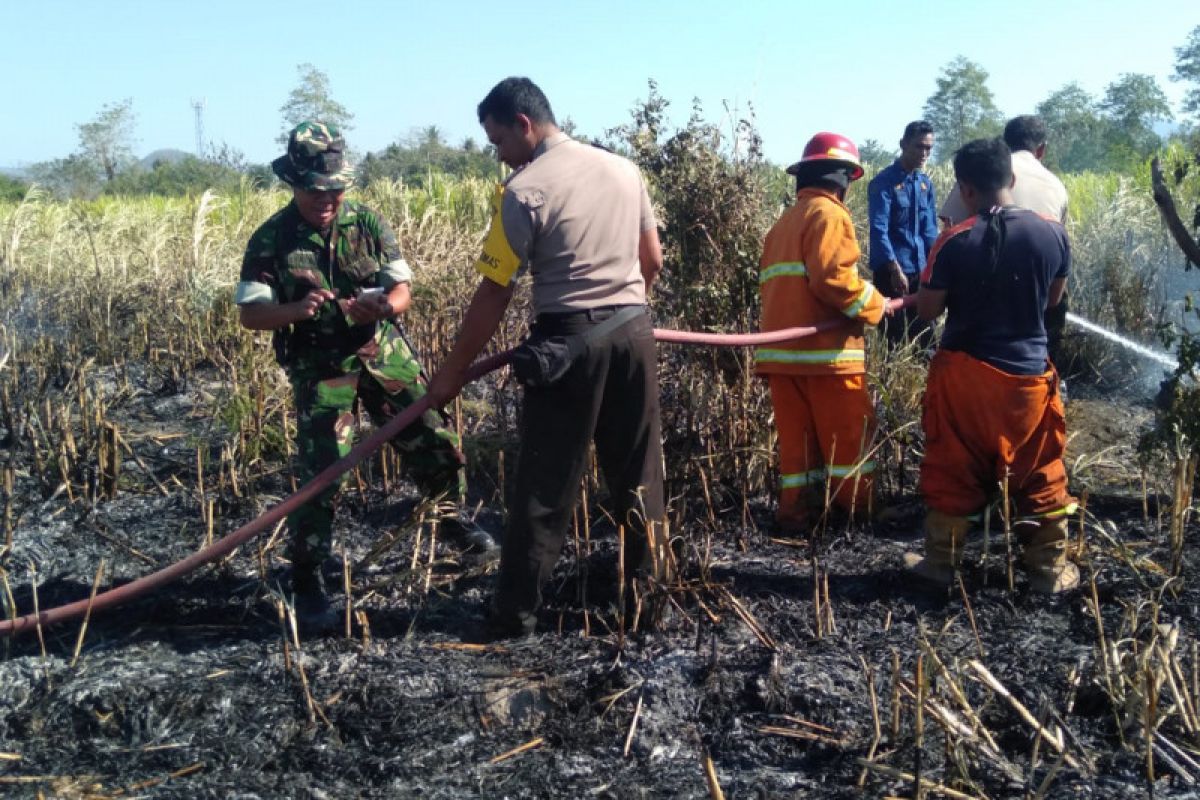 TNI-Polri berhasil memadamkan kebakaran lahan di Sumbawa