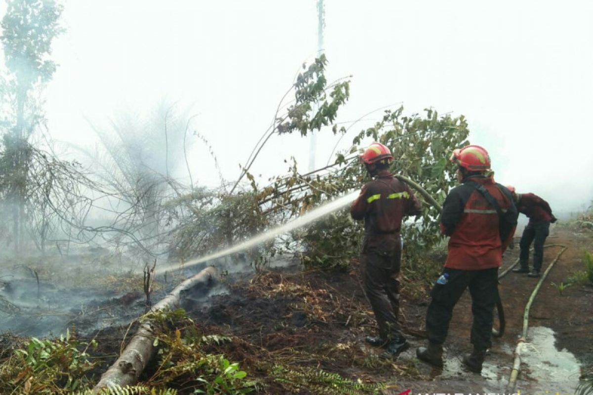 Polres Pelalawan hadiahkan Rp5 juta bagi penangkap pembakar lahan