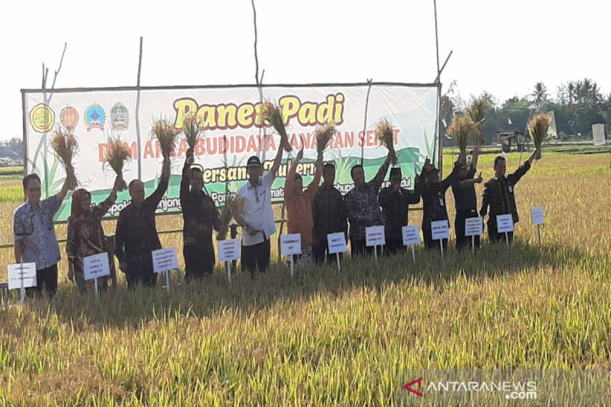 Petani Gunung Kidul panen padi 14 ton GKP per hektare