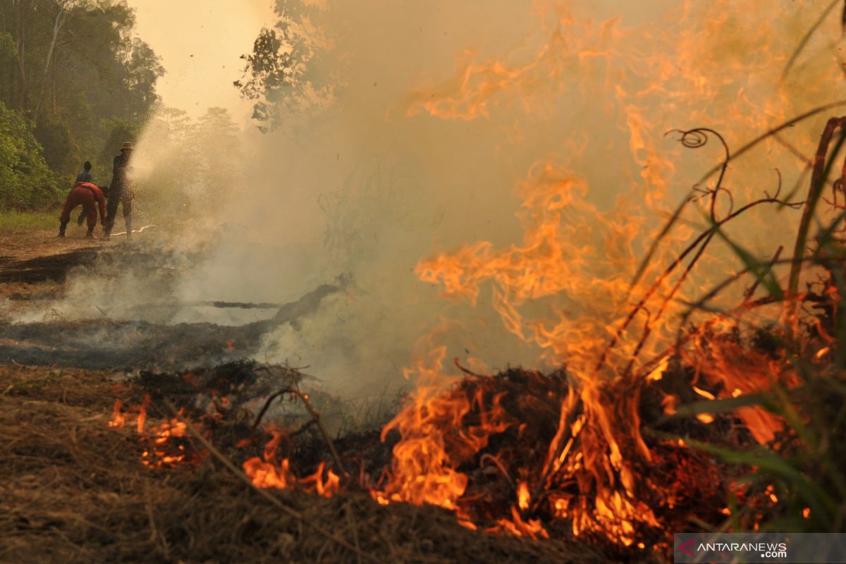 HLG Londrang terbakar akibat sekitarnya dijadikan areal konsesi