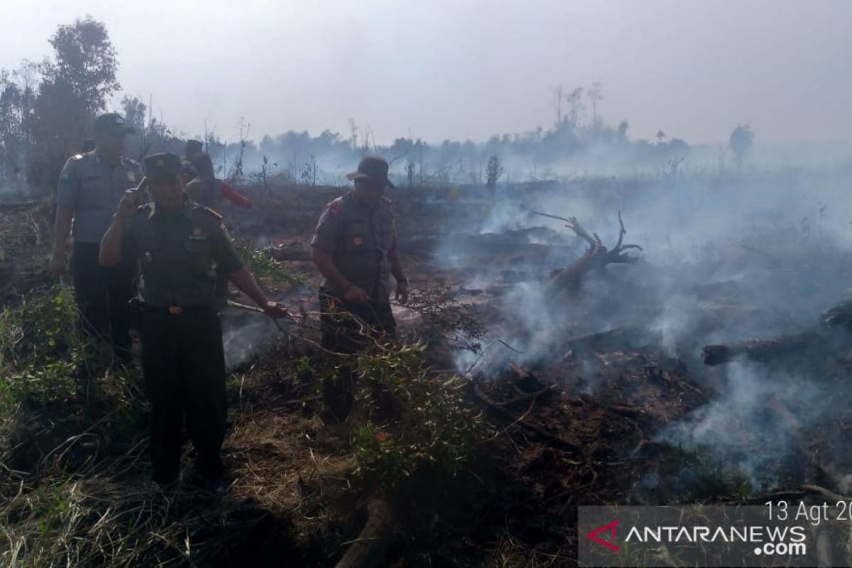 Polisi catat lima hektar lahan gambut milik  pemerintah terbakar