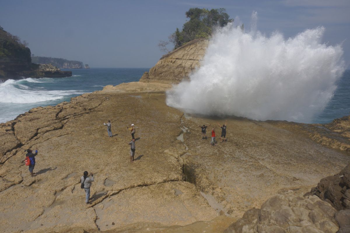 Warga pesisir Tulungagung pertahankan dua pantai konservasi penyu