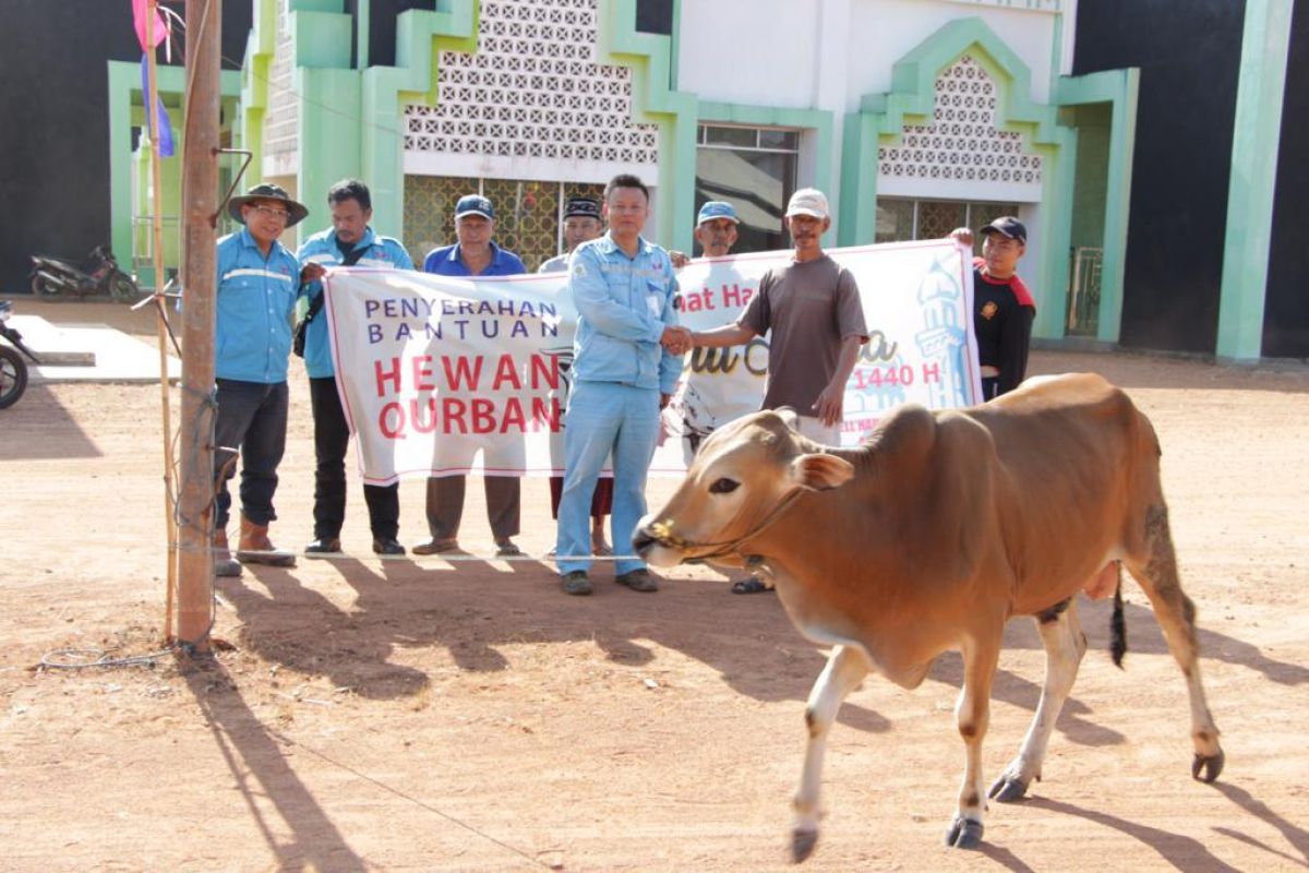 PT WHW AR Sumbang puluhan hewan kurban ke masyarakat Kendawangan Ketapang