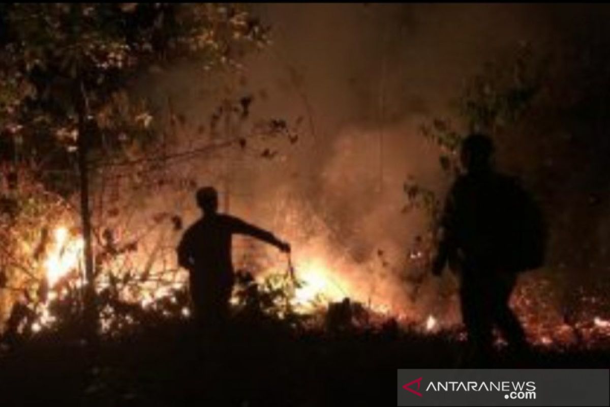 Polres Palangka Raya tunggu hasil pemeriksaan kejiwaan  pembakar lahan