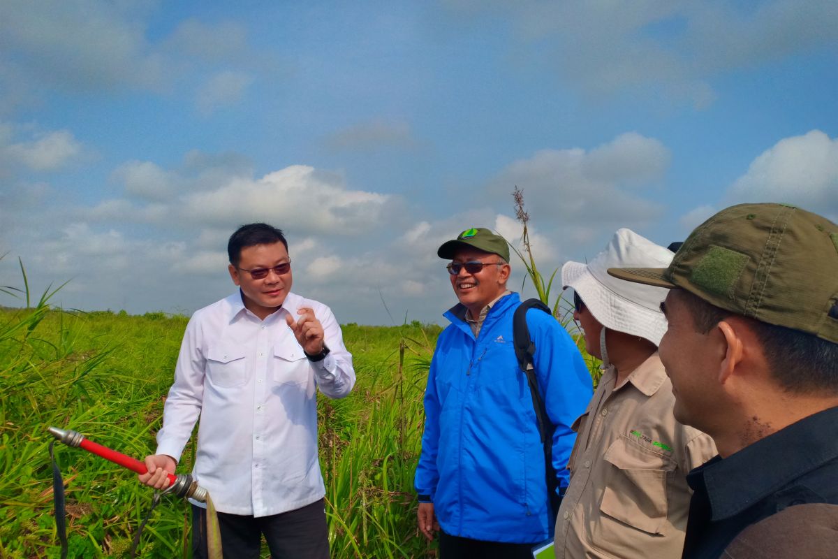 BRG perkenalkan cara buka lahan gambut tanpa api