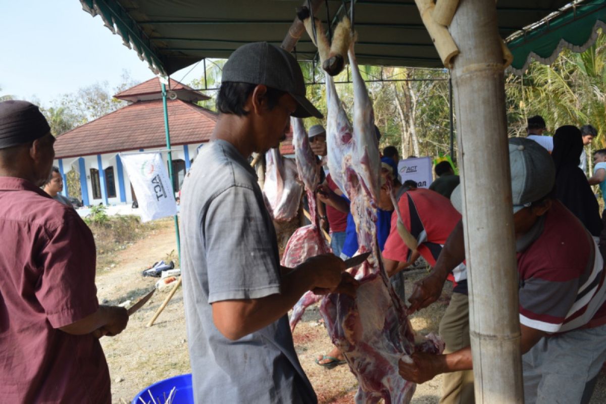 Tasyakuran kurban, ACT DIY bagikan ribuan paket daging kurban