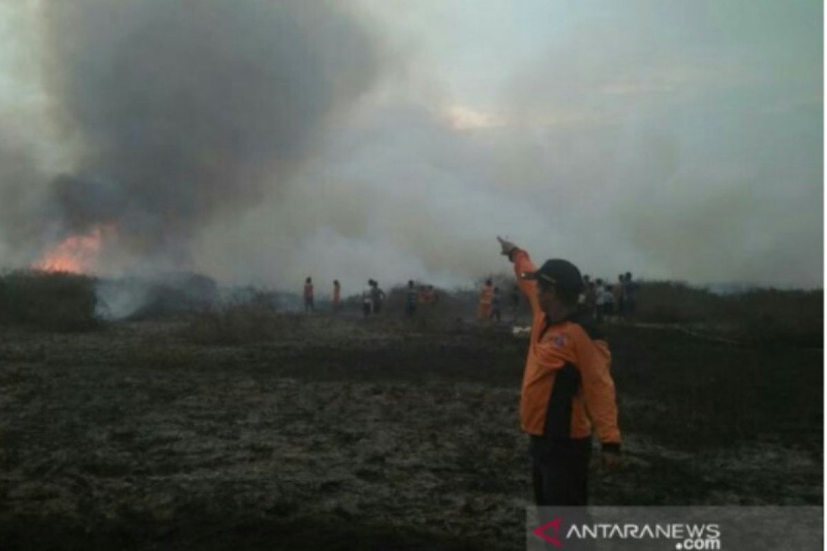 Dua Minggu, 25 hektare lahan terbakar di Kalimantan Selatan