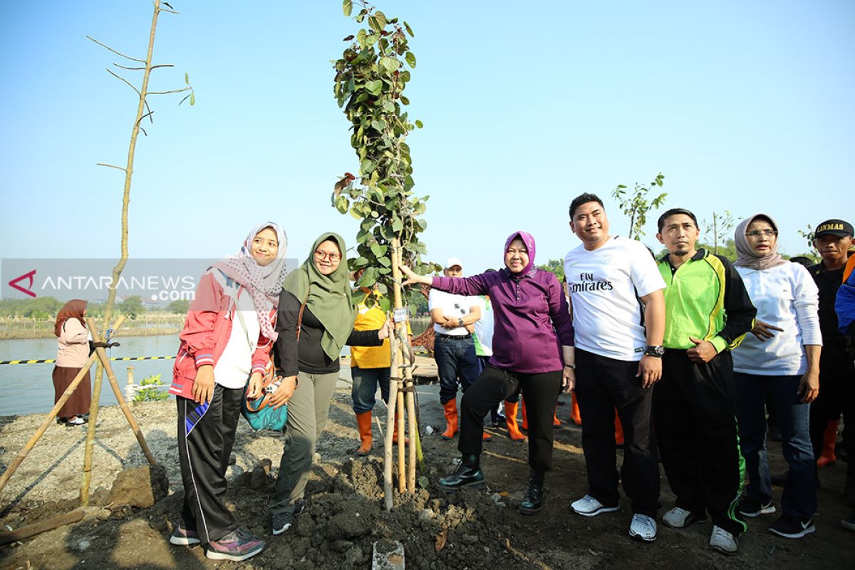 Wali Kota Risma tanam 50 ribu pohon di Bozem Medokan Sawah