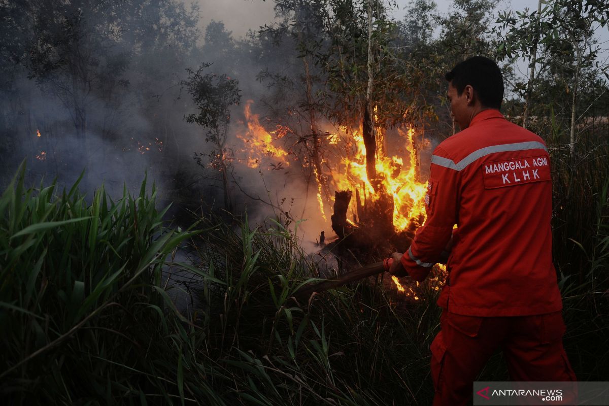 jumlah titik panas cenderung menurun, masyarakat tetap waspadai sebaran kabut asap